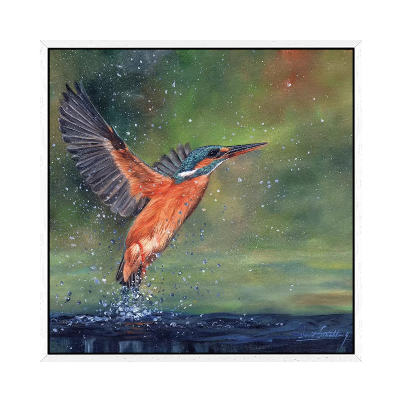 Kingfisher 1 Piece Wall Art on Canvas, 66.04 cm H x 66.04 cm W, White Framed