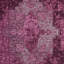 Aubergine saxonne-115865468