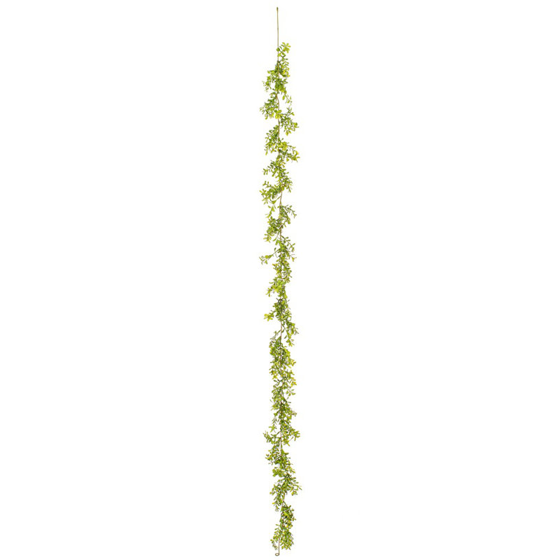 Guirlande 6 'Boxwood
