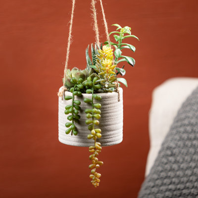 Mcpeak 7'' Faux Succulent in Ceramic Pot