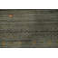 Tribal Green Oriental Indian Area Rug 7x10