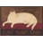 Cat Nap Inn-318190814