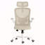 Chaise de bureau ergonomique, chaise de bureau avec appui-tête, chaise d'ordinateur à haut dossier avec accoudoirs et support lombaire réglable pour la salle d'étude de bureau à domicile-1821397799