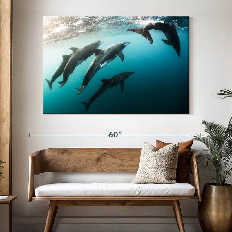 Brampt Dolphin Playmates, 34" H x 51" W