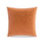 Fresco Polyester Blend Throw Square Pillow Cover-83269323