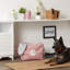 Bac pour animaux Paw-432920690-432920691