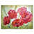 Toile tendue