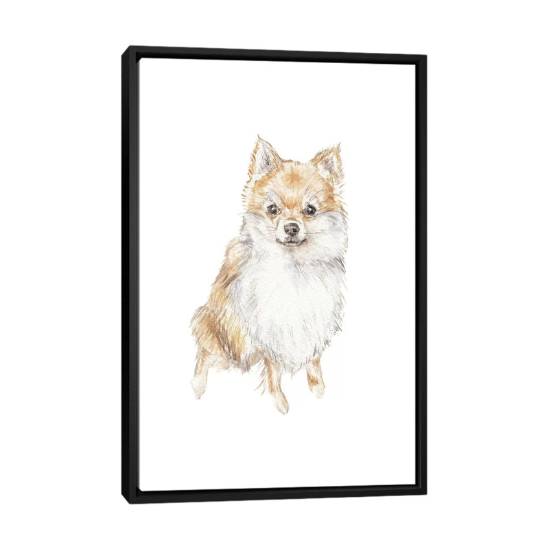 «Pomeranian», reproduction sur toile, H 26 po x l 18 po x P 1,5 po, Toile avec cadre noir, Pas de tapis