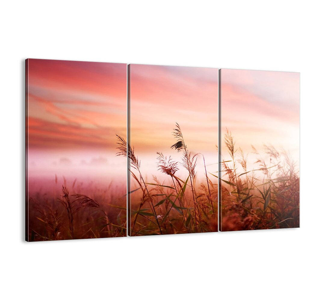 3-tlg. Leinwandbilder-Set - Fotografie „Kites, Dandelions, Wind”