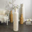 Bambou d'Afrique-203546504-203546507