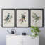 «Spring Song Blue Bird», ensemble de 3 peintures sur toile encadrées-1845700939-1845700936