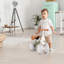 Joolihome Push/Pull Ride On-105531698