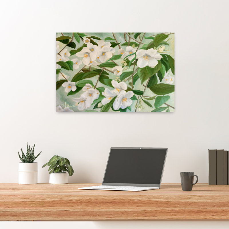 White Jasmine Blooms by Angeles M. Pomata - Wrapped Canvas Print, 60.96 cm H x 40.64 cm W