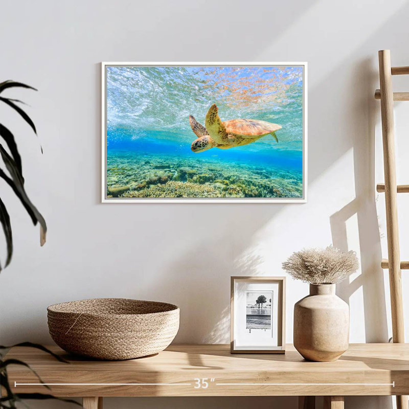 Turtle Dive, 19" X 13", Floating Frame White