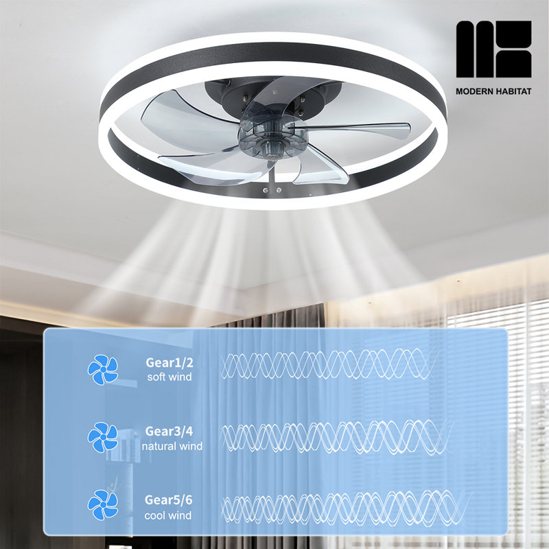 Dusen 19.7 in. Ceiling Fan with LED Lights
