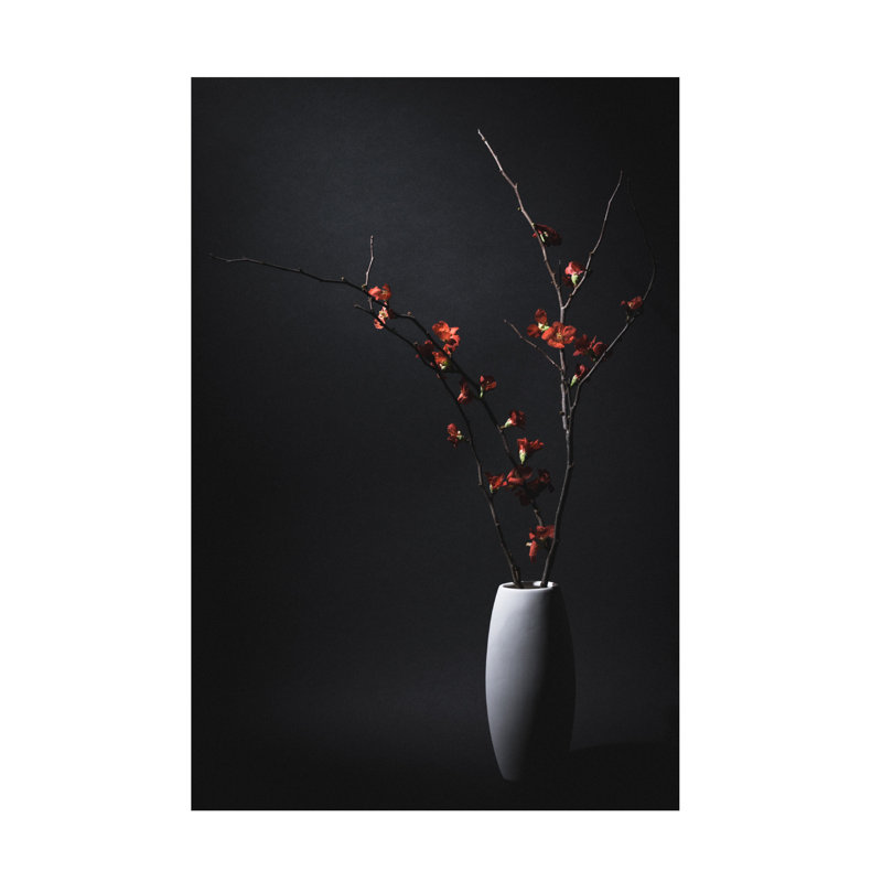 Daisuke Kiyota  A Japanese Quince Canvas Art, 16" H x 24" W