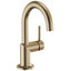 Odin® Single Hole Bathroom Faucet
