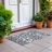  Malek Indoor/Outdoor Area Rug with Non-Slip Backing-1144604228
