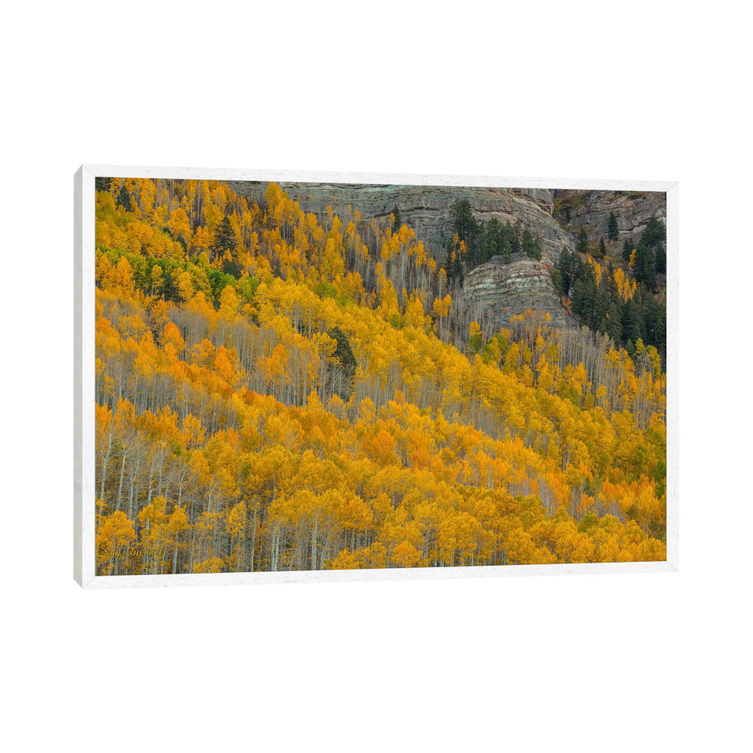 Autumn Canyon von Bill Sherrell - Galerie-umwickelte Leinwand Giclée auf Leinwand