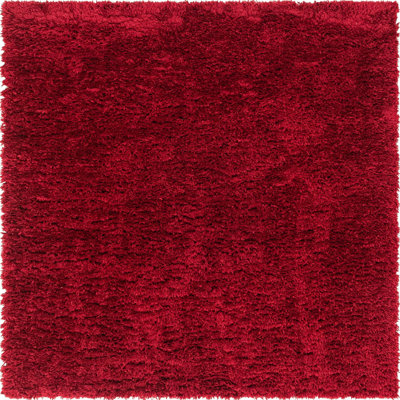 Oriental Indoor Rug