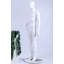 Amnen Statue-2062664201