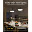  Luminaire suspendu