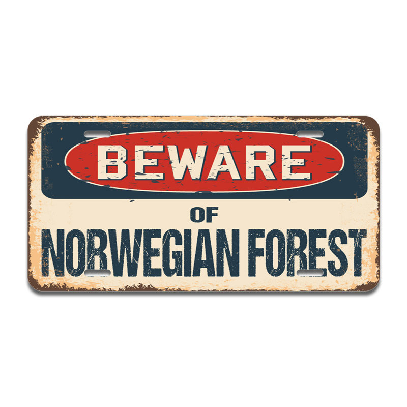 Cadre en aluminium «Beware of Moroccan Forest»