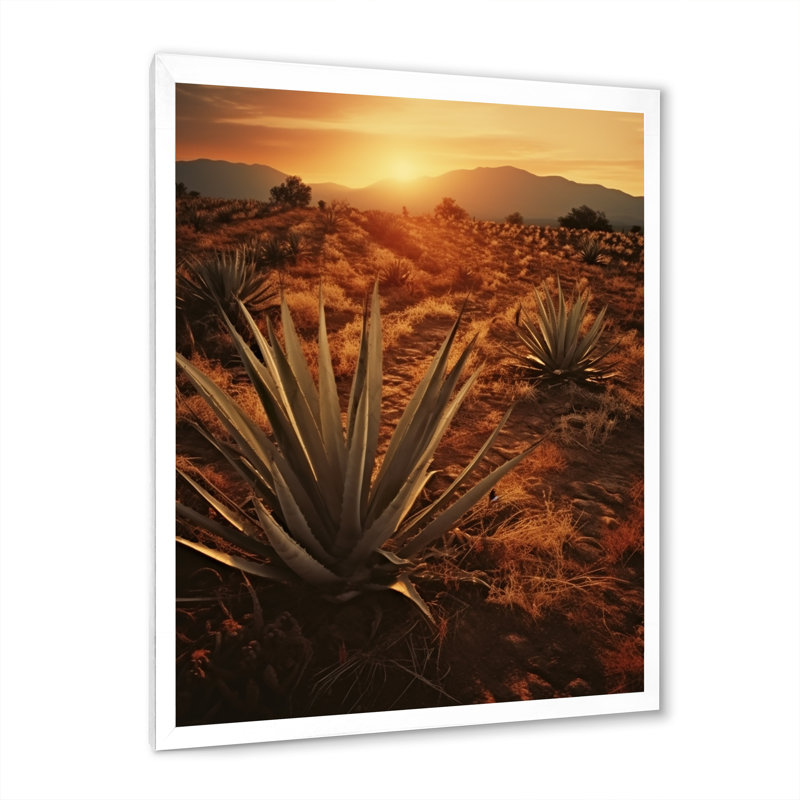 Succulent Field au Texas, Cadre simple blanc, H 40 po x l 30 po x P 1,5 po