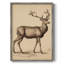 «Vintage Animal Print», reproduction encadrée en bois massif-566754930