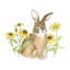 Art sur toile, Wildflower Bunnies-73793900-73793901-73793904