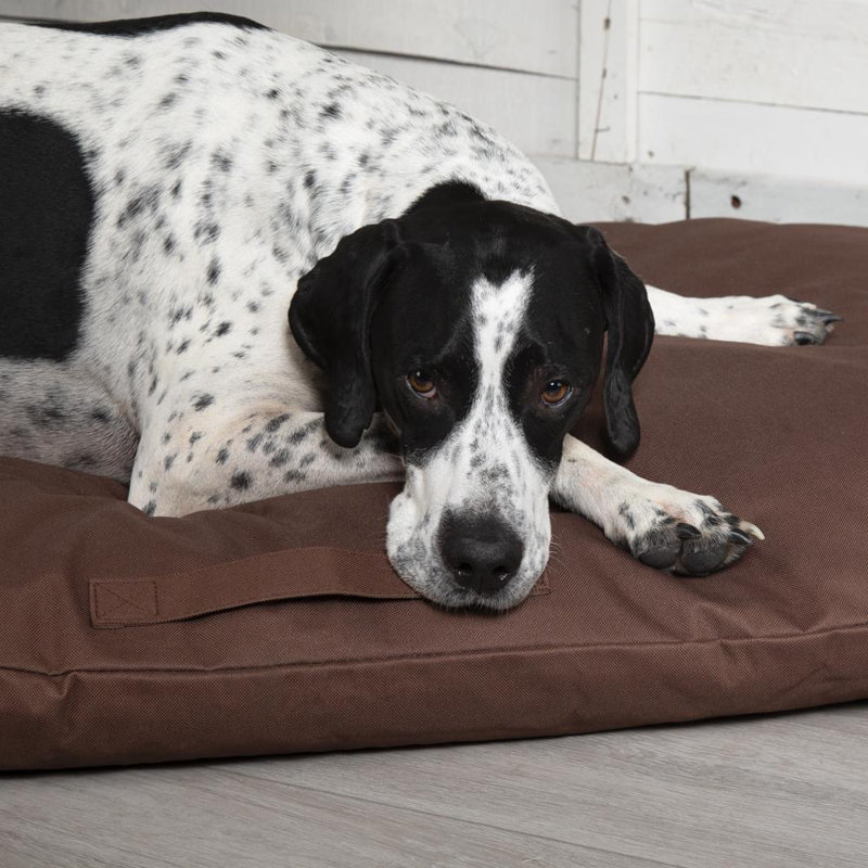 Expedition Orthopedic Polyester Pet Bed, 9cm H x 80cm W x 120cm D