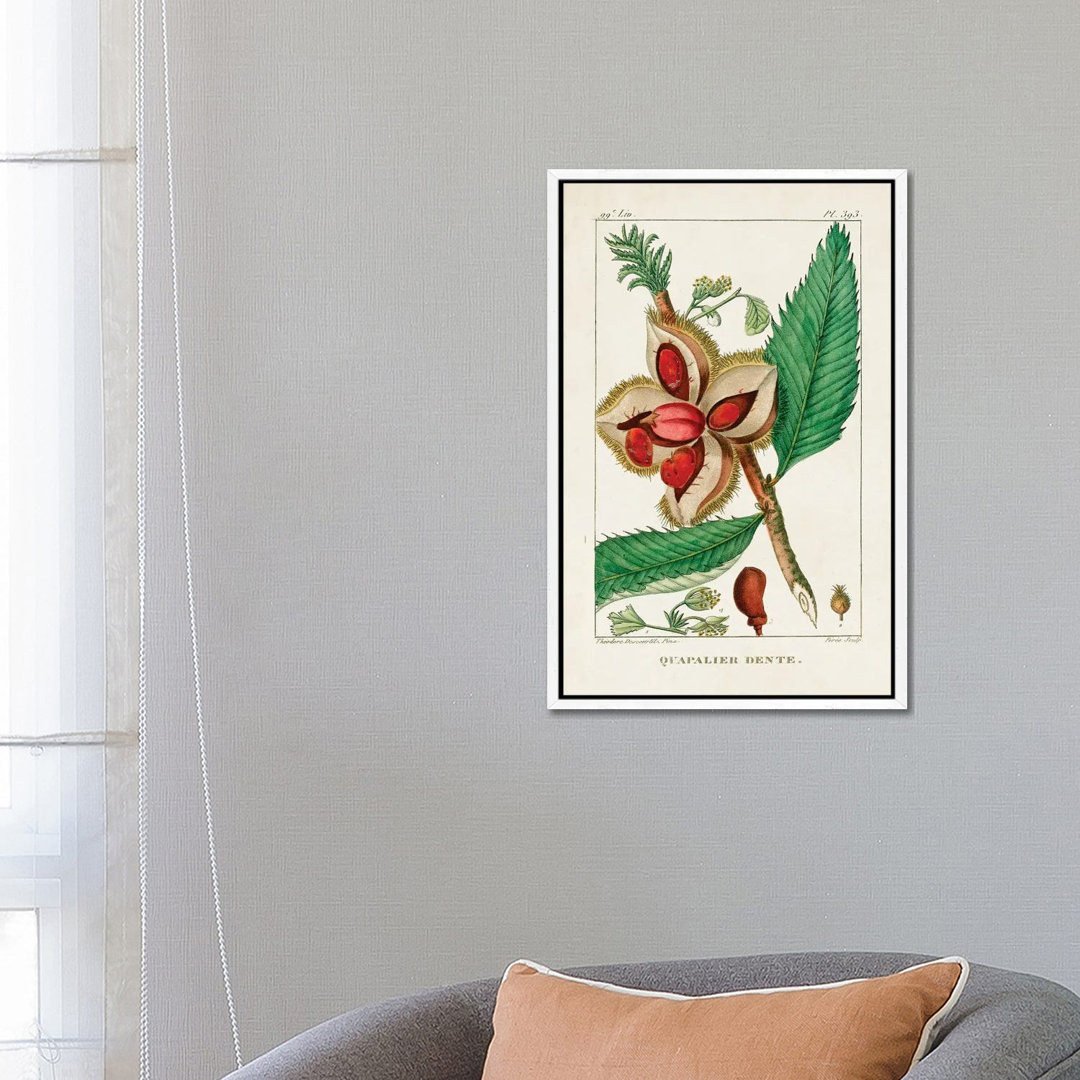 Turpin Foliage & Fruit II von Turpin - Floater Frame Gallery-Wrapped Canvas Giclée on Canvas