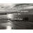Trinx Gallery Wrapped Canvas By Sarah Frier: "People who don’t take risks work for people who