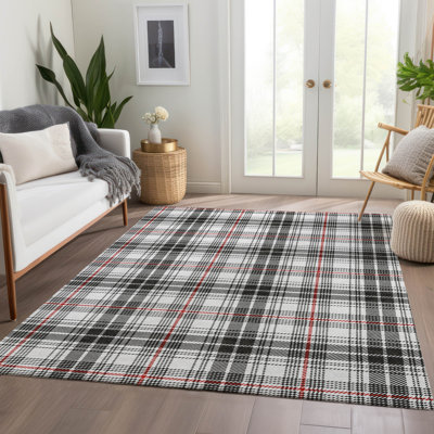 Premium Machine Washable Lyndhurst AMF993 Plaid Rug