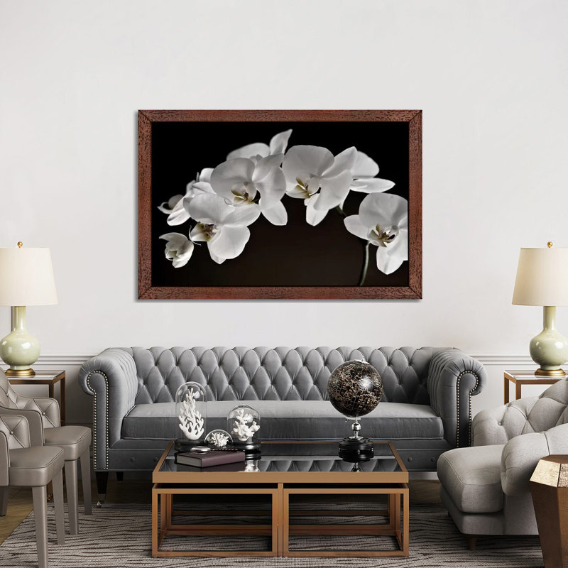 Orchids - Floater Frame Print on Canvas, 66.04 cm H x 45.72 cm W, Brown