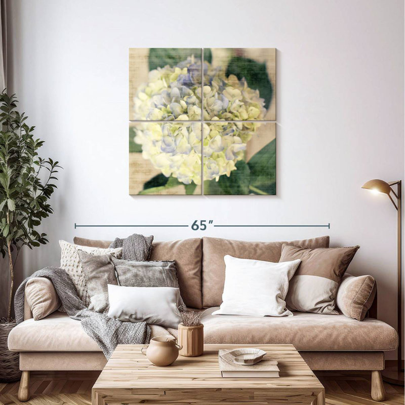 Hortensias Harnek II