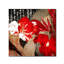 «China Red I» par Jadaya, impression sur toile tendue-20094223