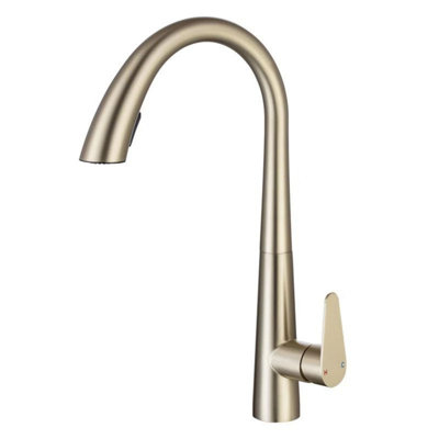 Langsun Pull Down Kitchen Faucet