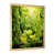 Cadre doré simple