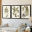 Fern Botanical III - Toile tendue avec châssis sur mesure - 3 pièces-1756760340-1756760341