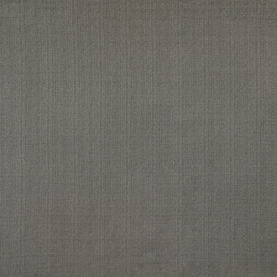 Tissu Meridian