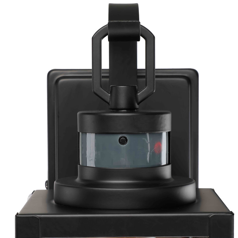 Schock Matte Black 38.1cm H Outdoor Wall Lantern