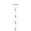 Arbaz Polyester None Rope-1313739133