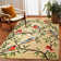 Snoqualmie Hand Tufted Floral Indoor / Outdoor Rug