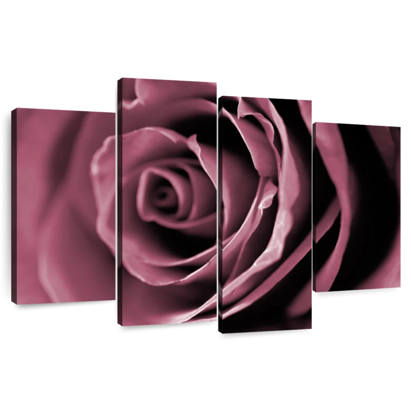 Rose poudré Harnek, H 54 po x l 84 po