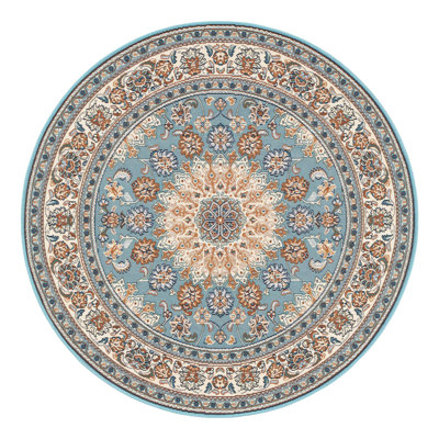 Indoor/Outdoor Traditional Area Rug