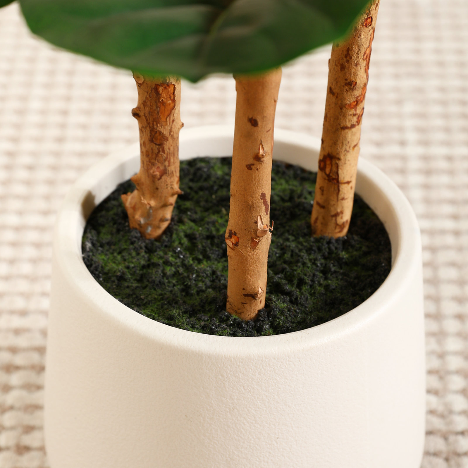 Adarna Fiddle Leaf Fig Tree in Pot, 60" H x 20" W x 20" D