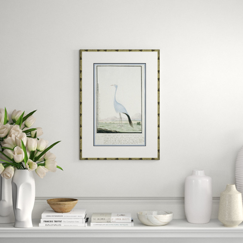 Bird Drawings, Circa 1777 Giclee Print by Robert J. Gordon