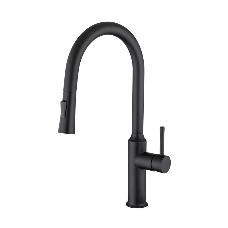 Rainlex Pull Down Kitchen Faucet, Matte Black