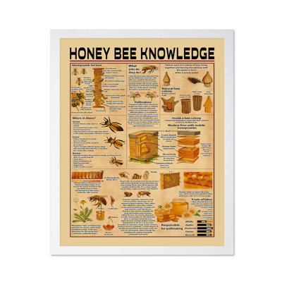 Connaissance de l'abeille
